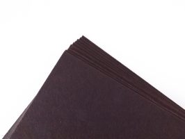 368668_4577.JPG