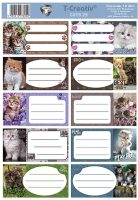 48379_cats_12977.JPG
