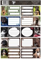 48380_dogs_12974.JPG