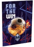49093_top_league_12877.JPG