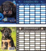 49411_orarend_mini_puppies_12822.jpg
