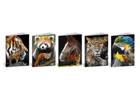 Blasetti_Animal_8358.jpg