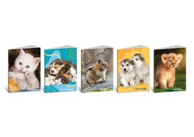 Blasetti_Pet_Color_8355.jpg