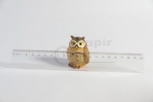 Vonalzo_20cm_8115.jpg