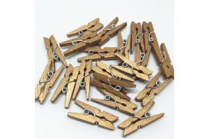 csipesz_arany_25mm_1647.jpg