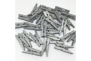 csipesz_ezust_25mm_1650.jpg