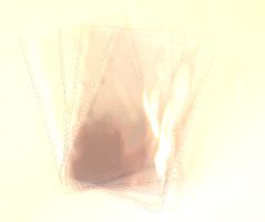 hlp_29_4002.JPG