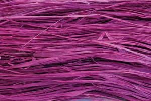 raffia_lila_2586.jpg